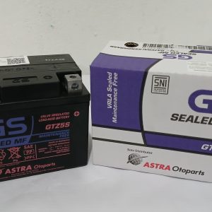 Aki motor GS GTZ5s